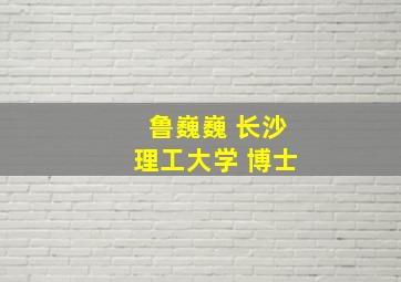 鲁巍巍 长沙理工大学 博士